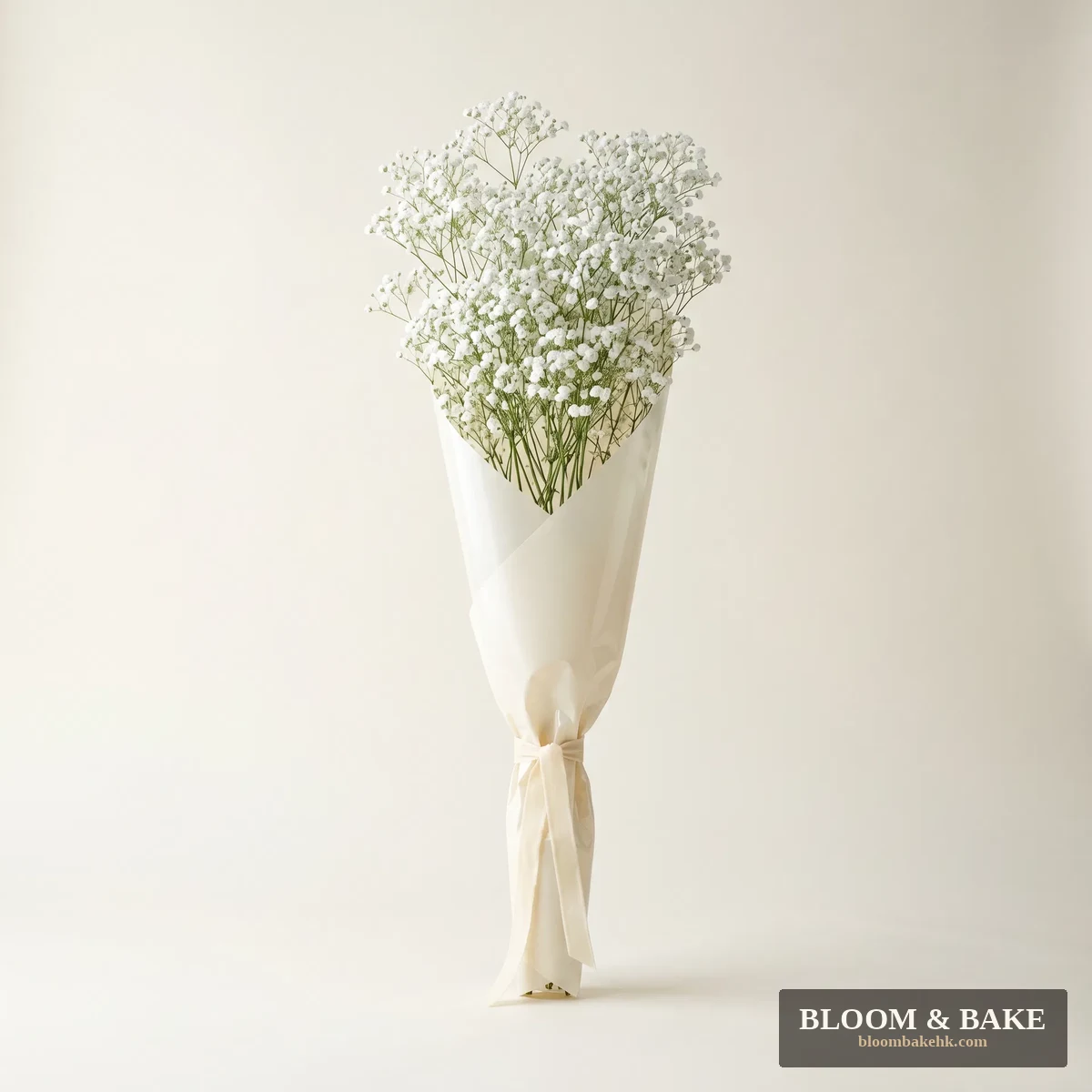 鮮花花藝 — 滿天星盆栽-四季開花